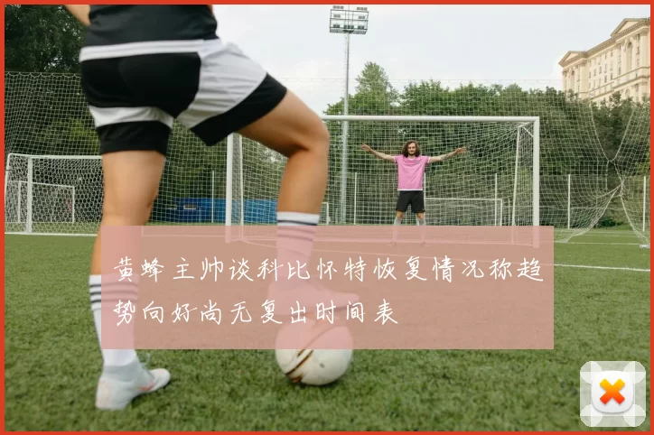 黄蜂主帅谈科比怀特恢复情况称趋势向好尚无复出时间表